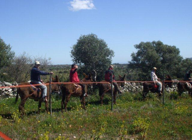 Agriturismo Agrimilo Βίλα Νότο Εξωτερικό φωτογραφία