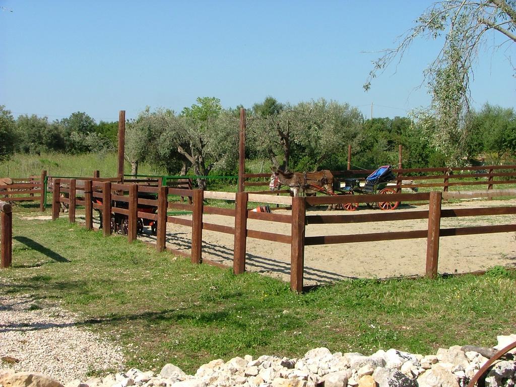 Agriturismo Agrimilo Βίλα Νότο Εξωτερικό φωτογραφία