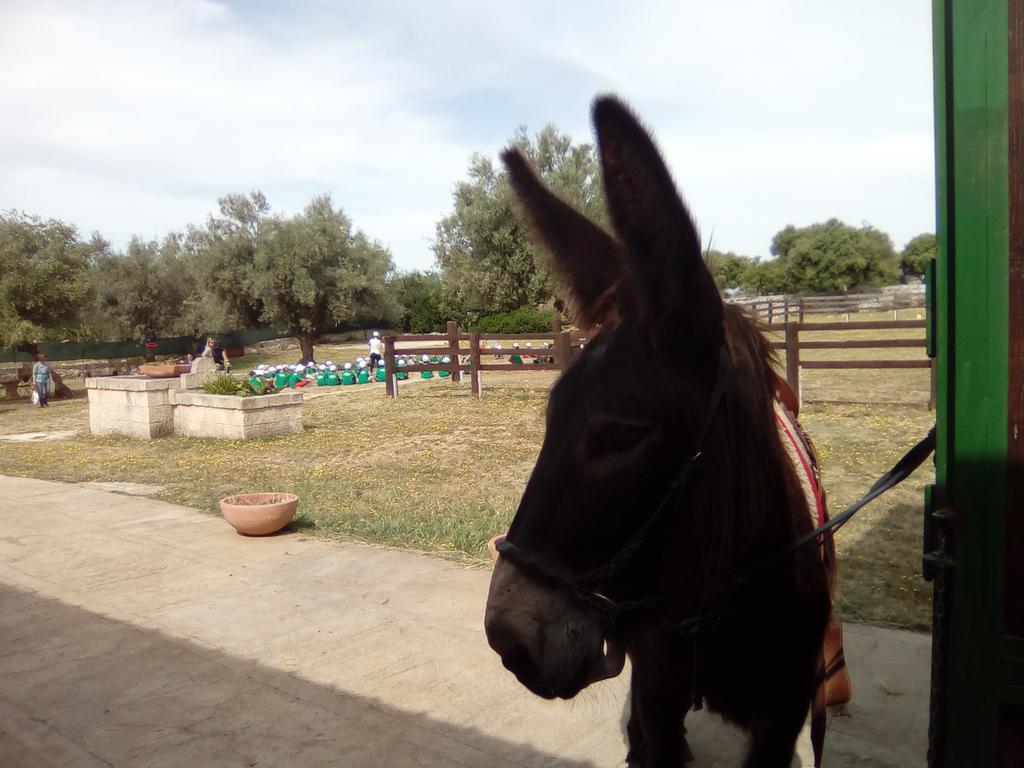 Agriturismo Agrimilo Βίλα Νότο Εξωτερικό φωτογραφία